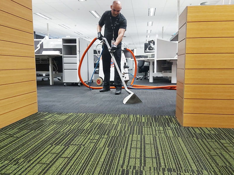 Carpet Cleaning Stain Removal