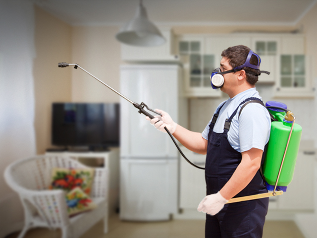 Pest Control Through Sanitation