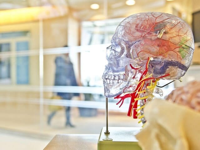 Ways to Increase Brain Power